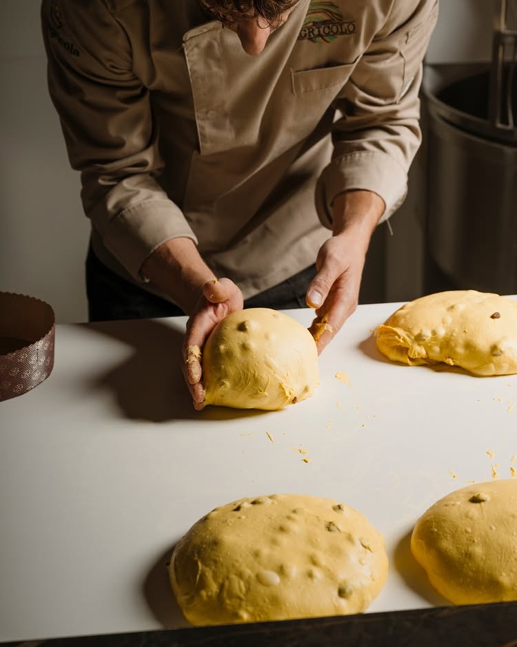 La lavorazione dell'impasto del panettone